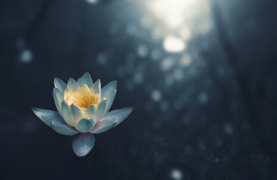 photo-1528715471579-d1bcf0ba5e838131533482119383768 - Att träna på meditation - utan att bli stressad