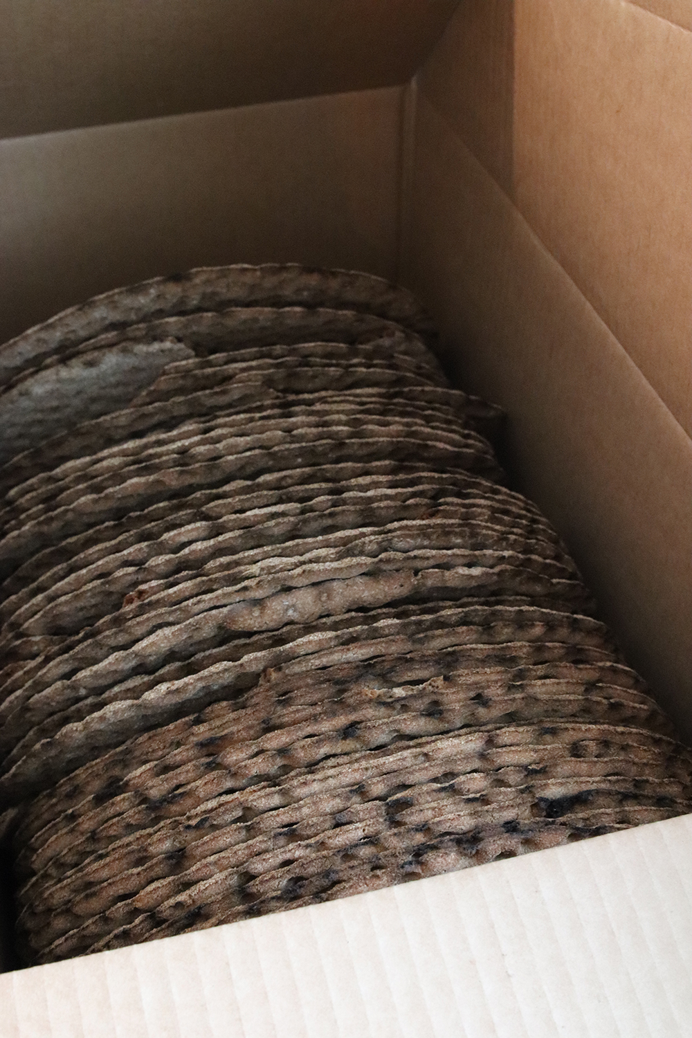 IMG_3092 - knäckebrödspizza