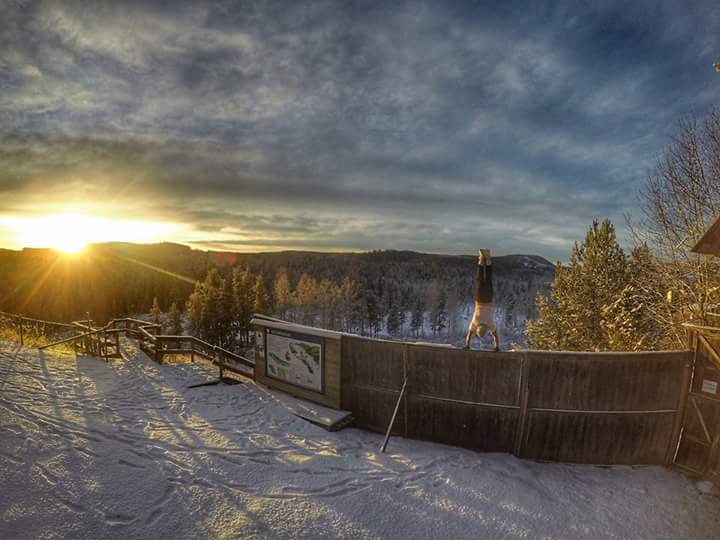 FB_IMG_1485463462767 - Calisthenics