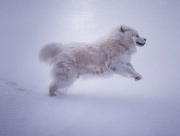 IMG_20161228_134855_600