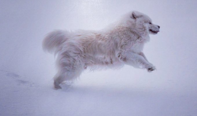 IMG_20161228_134855_600