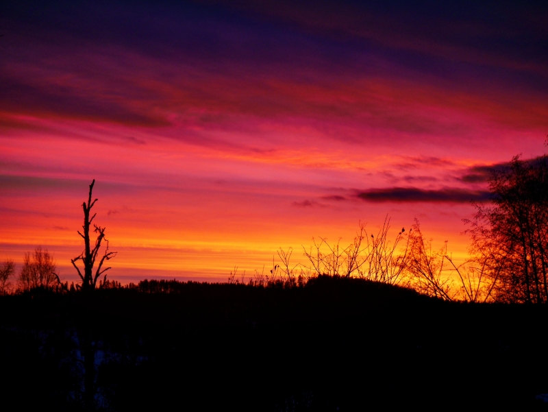 IMG_20170122_155940_906 - Så vackert, och alldeles gratis