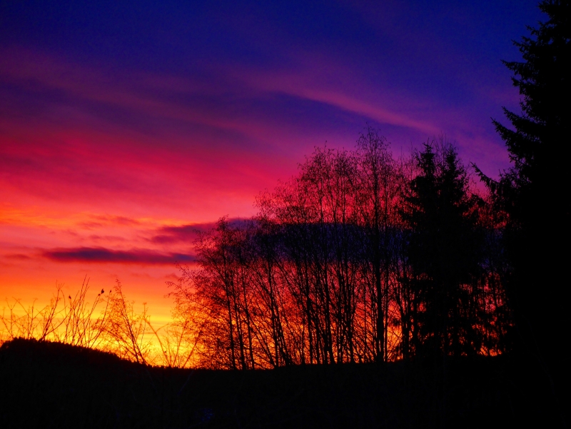 IMG_20170122_160604_032 - Så vackert, och alldeles gratis