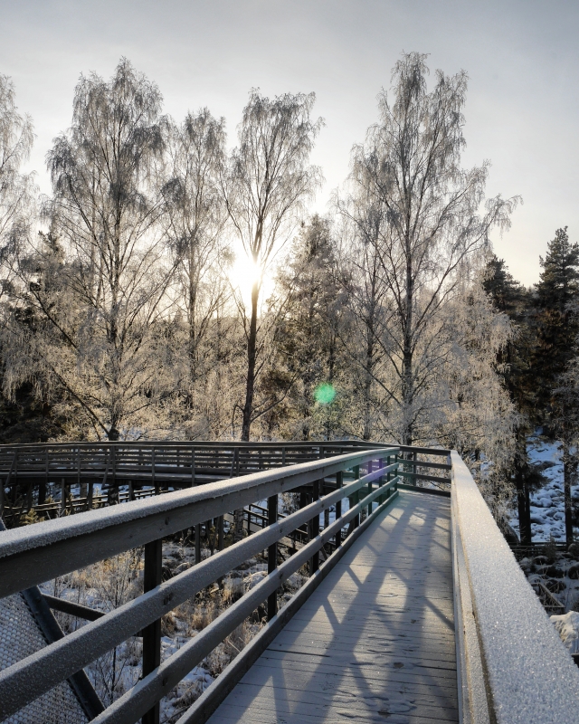 IMG_20170128_134908_289 - Introvert