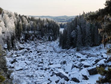 IMG_20170128_135401_850