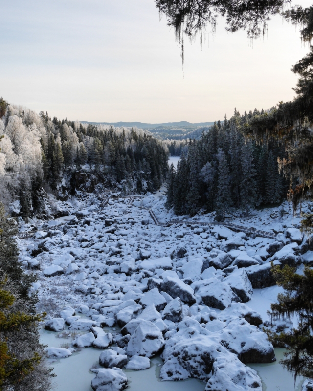 IMG_20170128_135401_850 - Introvert