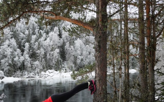 IMG_20170129_134523_098