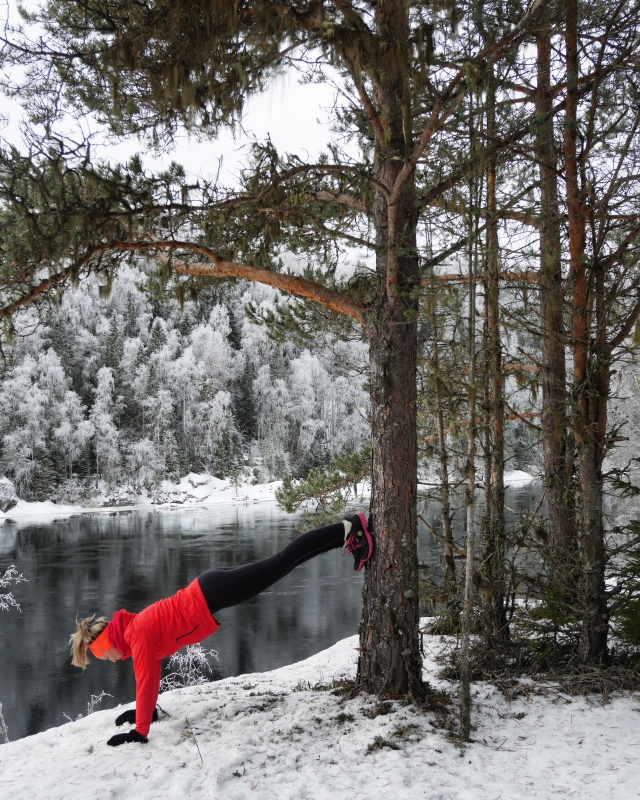 IMG_20170129_134523_098 - Man tager vad man haver