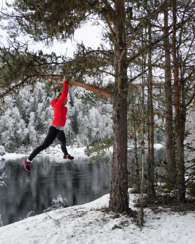 IMG_20170129_134620_346 - Man tager vad man haver