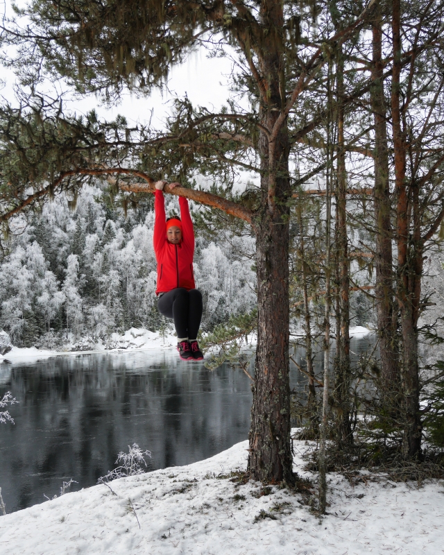 IMG_20170129_134845_068 - Man tager vad man haver