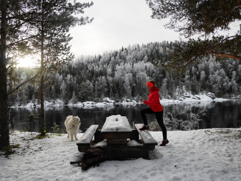 IMG_20170129_152103_138 - Man tager vad man haver; Picknickbord