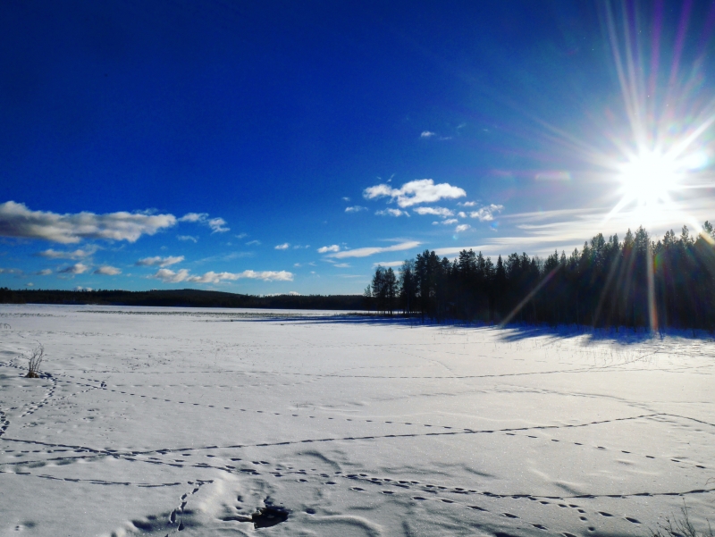 IMG_20170225_212156_036 - Aktiv vila