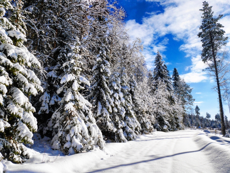 IMG_20170304_185116_721 - Aktiv vila