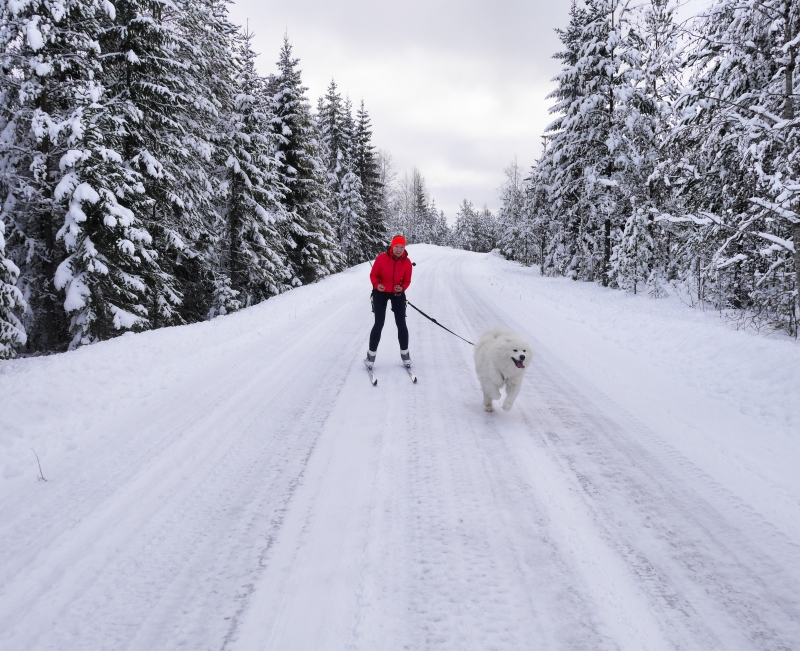 IMG_20170305_193126_842 - Vardagsmotion