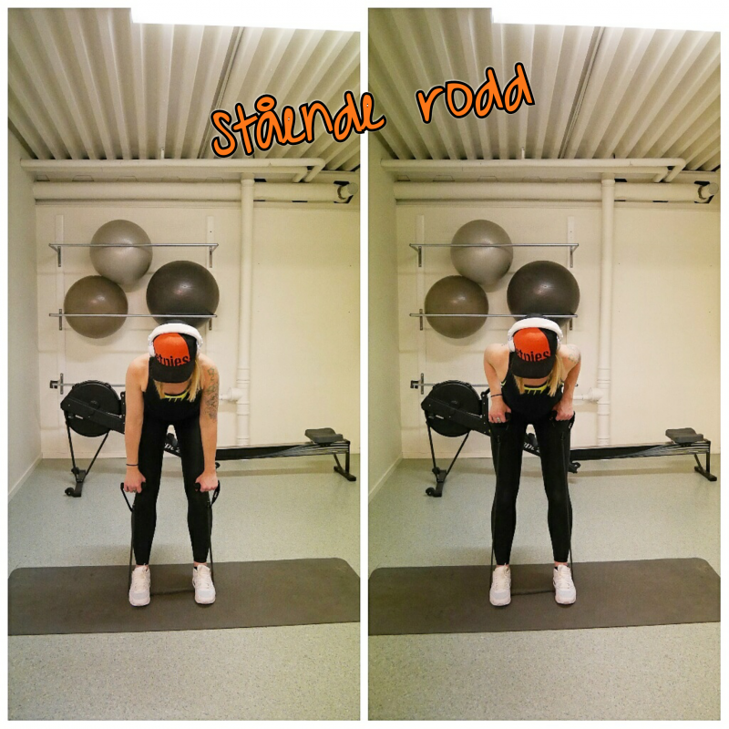 PhotoGrid_1488049297101 - Träna med gummiband -del 2