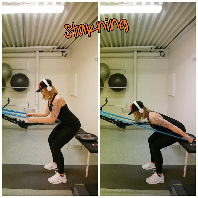 PhotoGrid_1488049389651 - Träna med gummiband -del 2