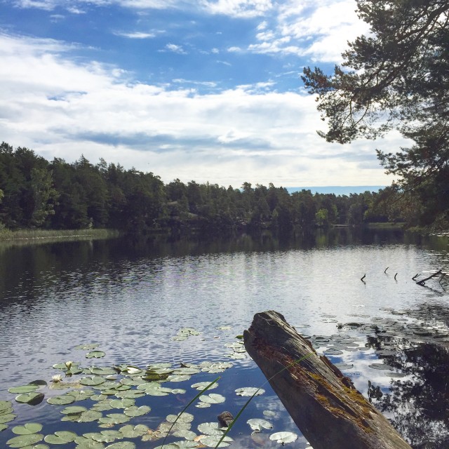 Lillsjön