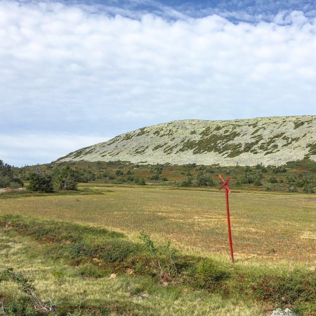 0502F632-FFCC-48DF-ACAB-6FEEC3D26E56 - Fjellrunden 13,5 km