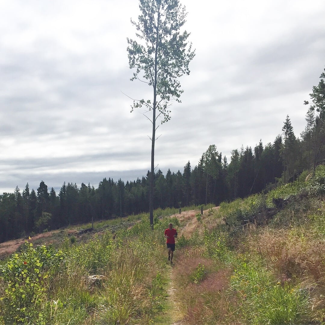 07A1D48A-5EE9-44E3-8BC8-F93378A27EBF - Sista milen innan halvmaran