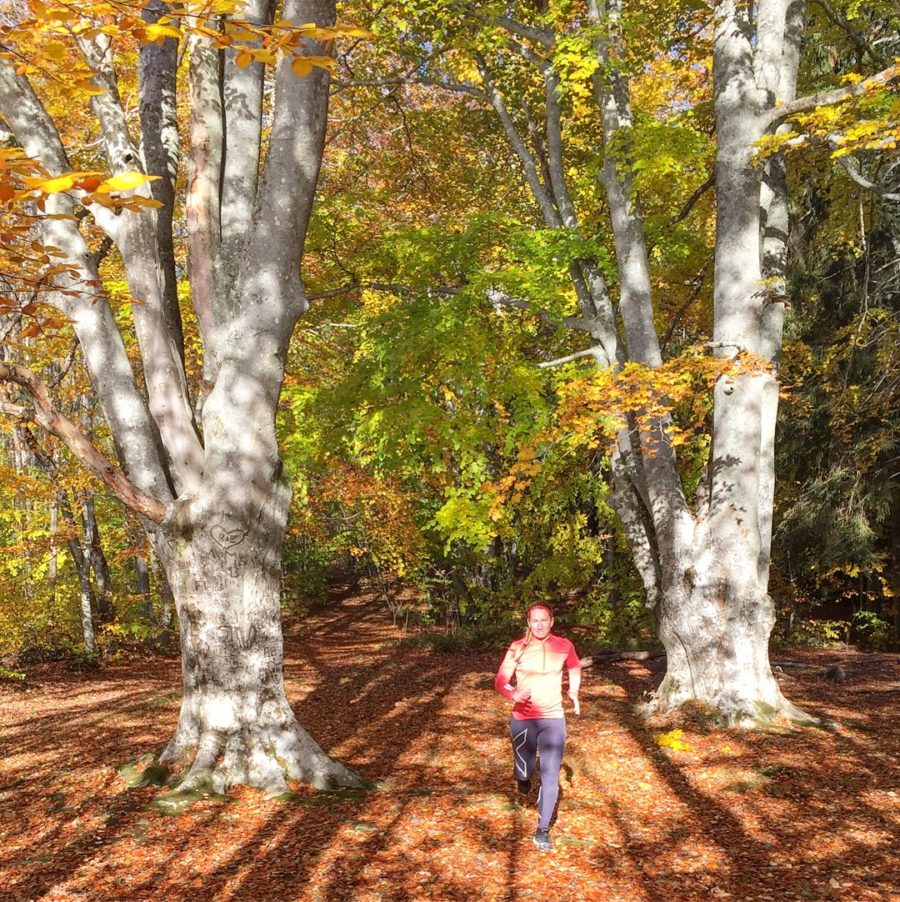 07F388FB-F00F-4323-9373-257160B60FF7-e1509282463410 - Känner livet i mig...