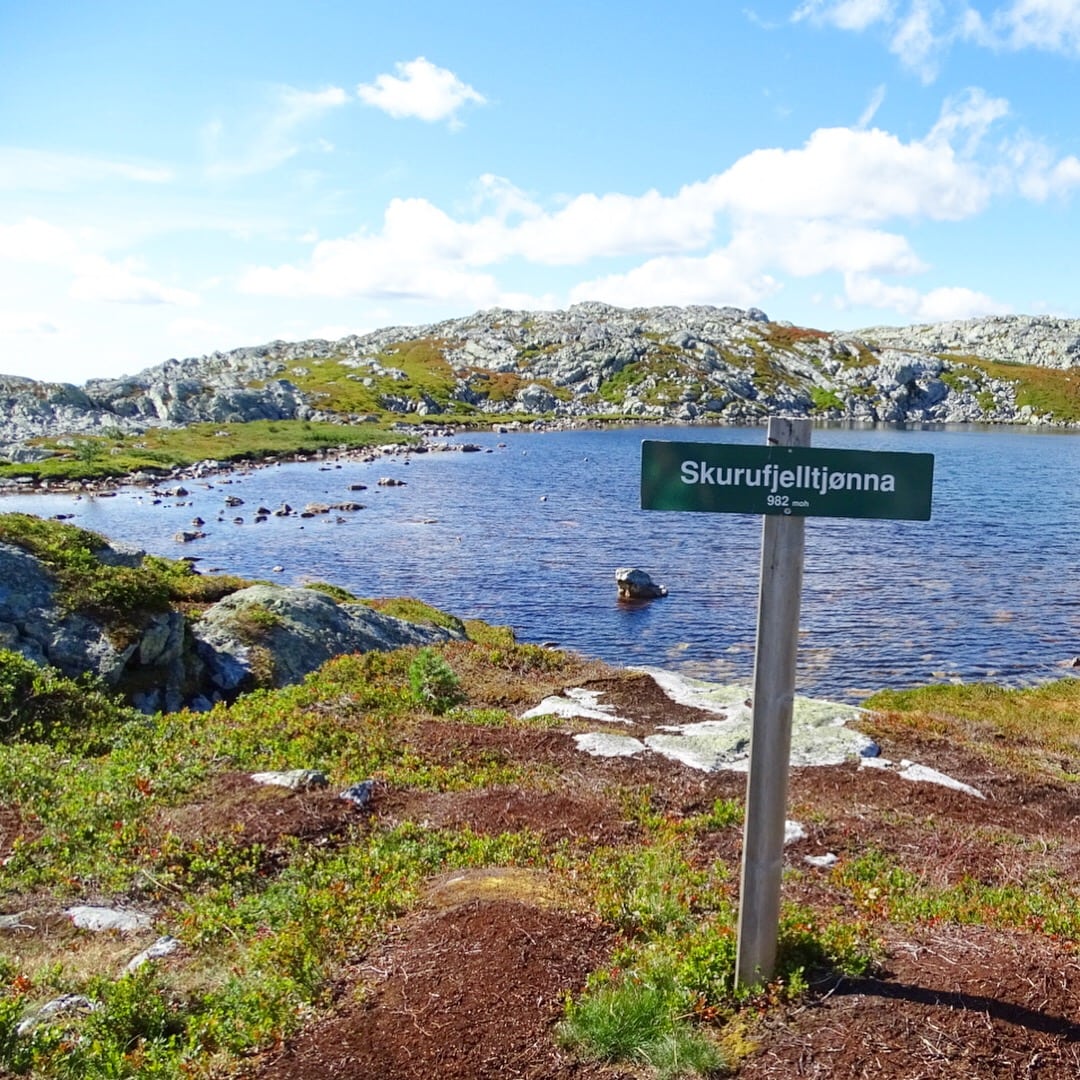 0883BCDD-5429-4D4E-B920-D439B5A4FE21 - Skurufjellet