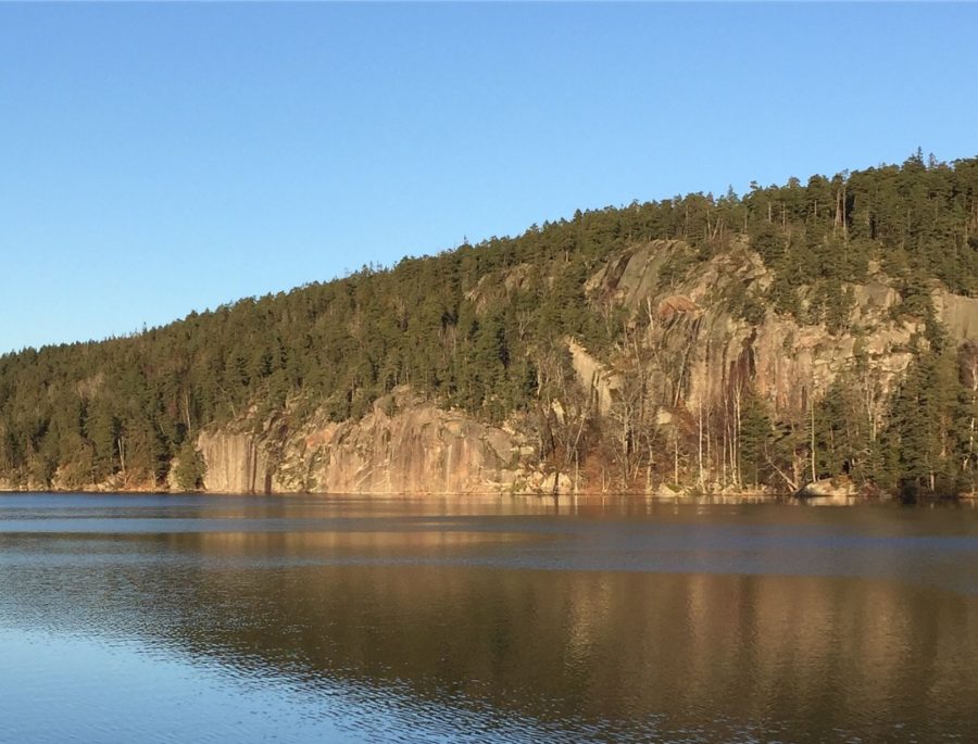 107EEEA6-BE2D-4F8F-BC8D-2EF59285A047-e1512927303696 - Andra adventslöpning