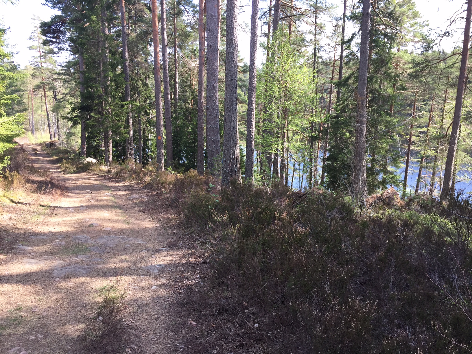 160508 Löpning herrsjön