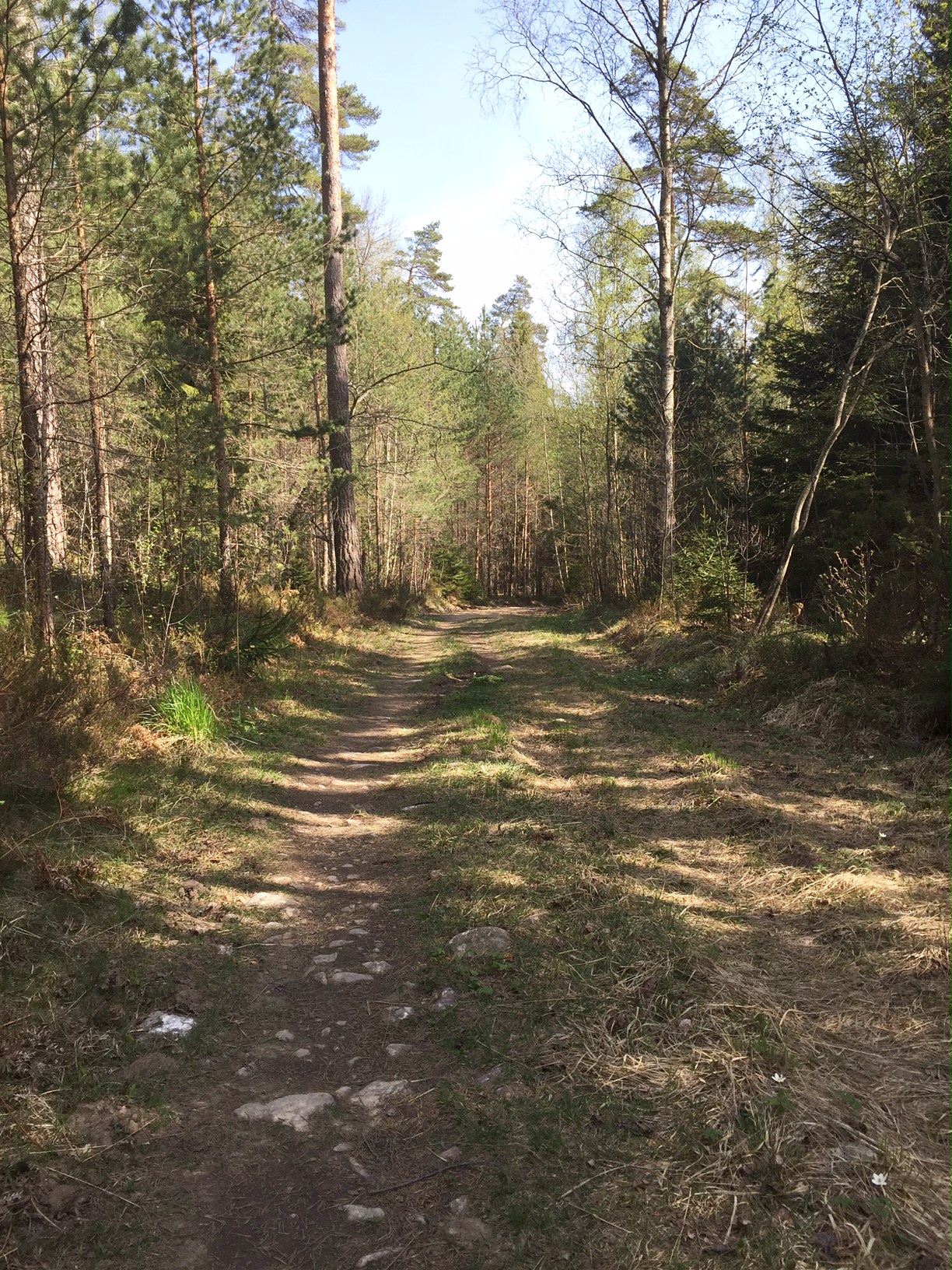 160508 Löpning stig