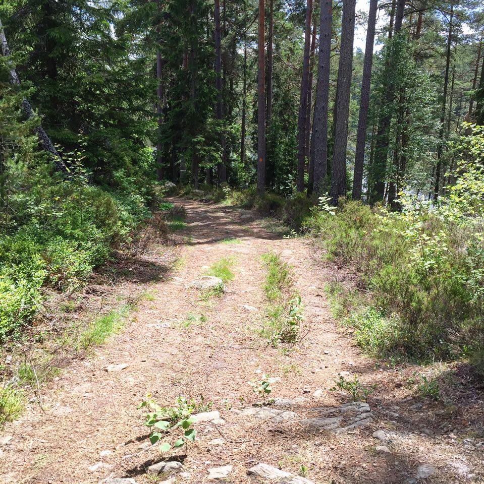 160703 Herrsjön backen