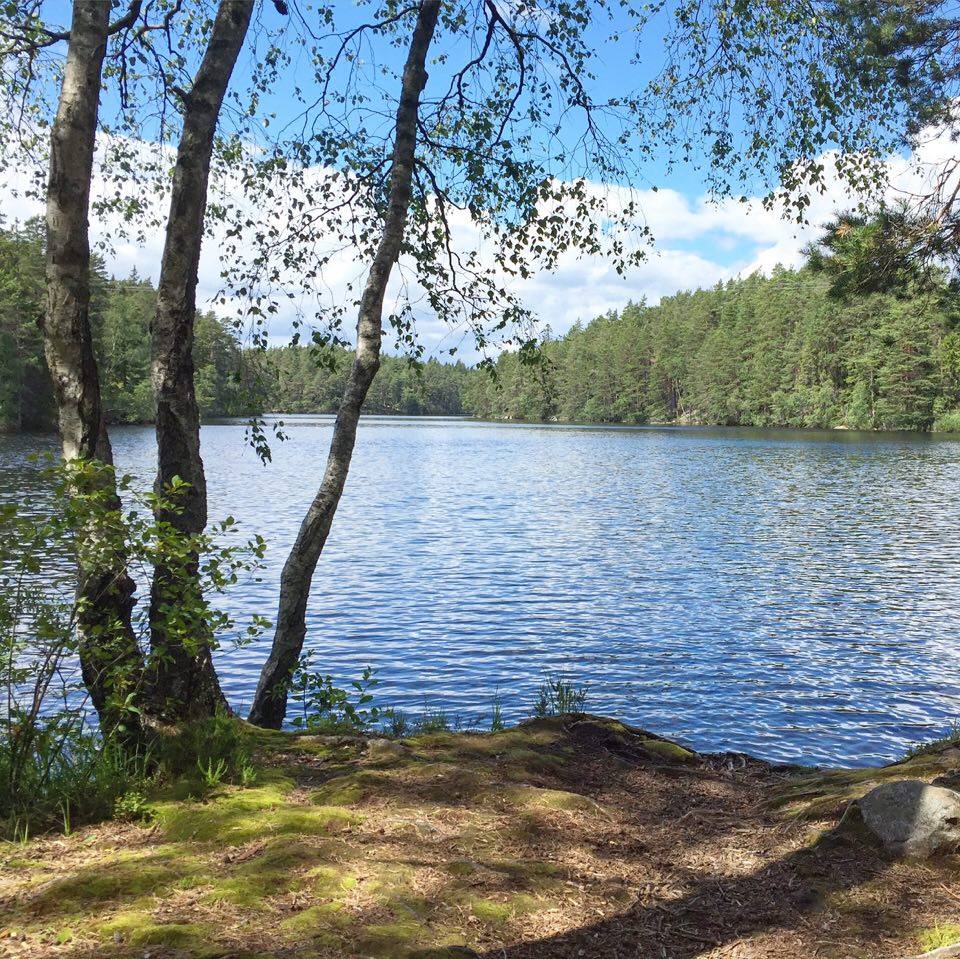 160703 - Herrsjön