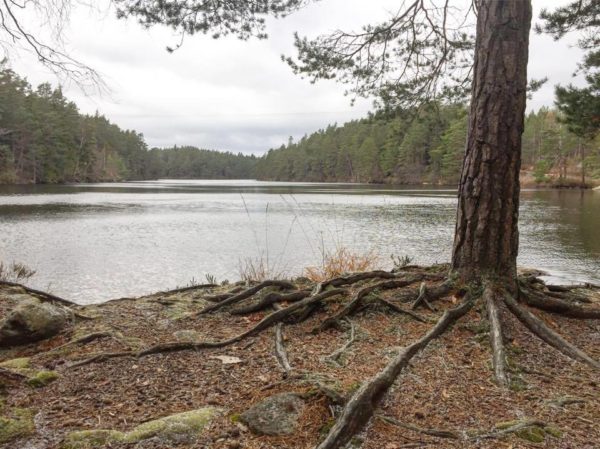 Herrsjön