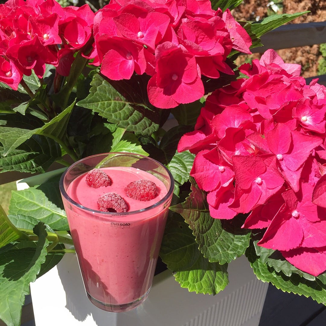 17BB5D2D-52E6-4510-81FC-12C03F4F9BAE - Matchande smoothie