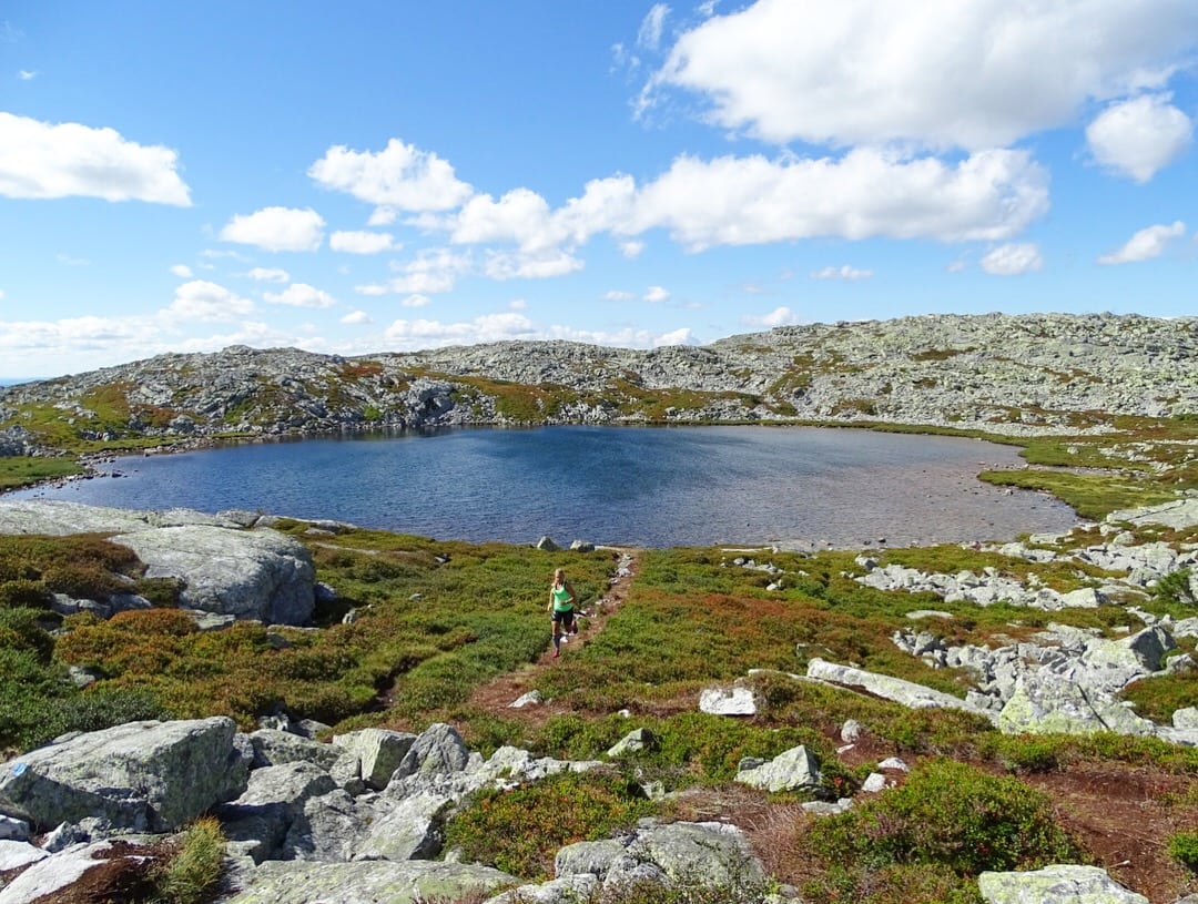 Fjällöpning
