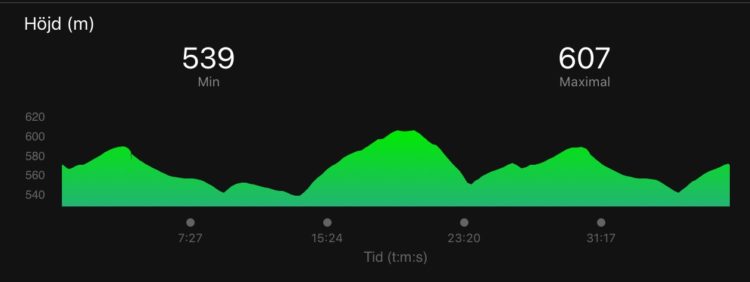 35D32AFB-B4BF-41DB-B099-893889C2703A-e1514628934120 - Trysillöpning