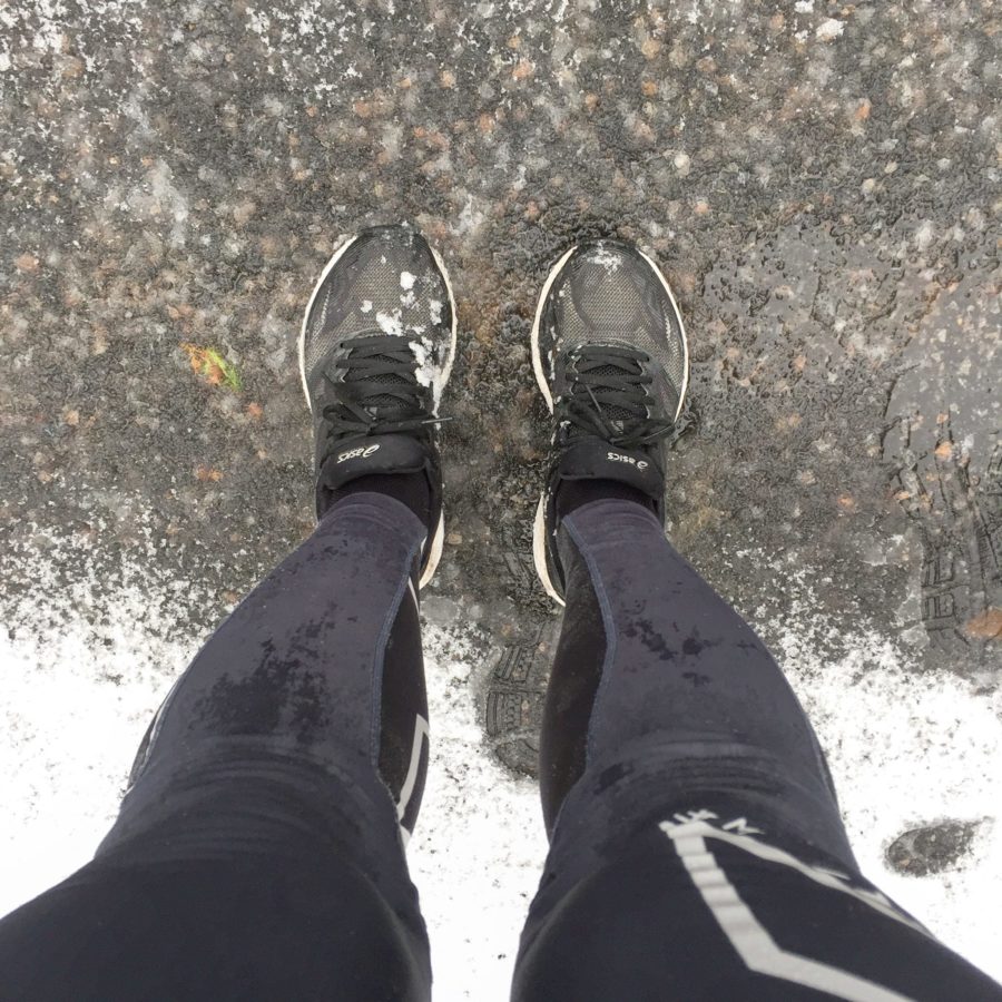 37C0510B-3602-49D6-BE97-81E2855D034E-e1517145547822 - Spöregn & slask har sin charm