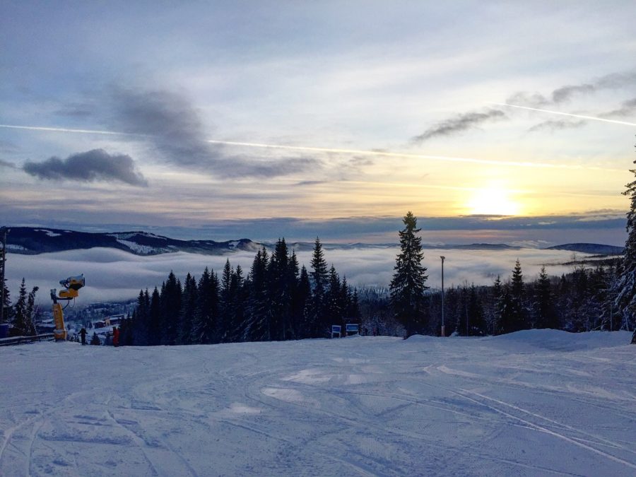 418A58F6-172B-4DA0-A994-527184FB531B-e1514545216235 - Manchester & lössnö