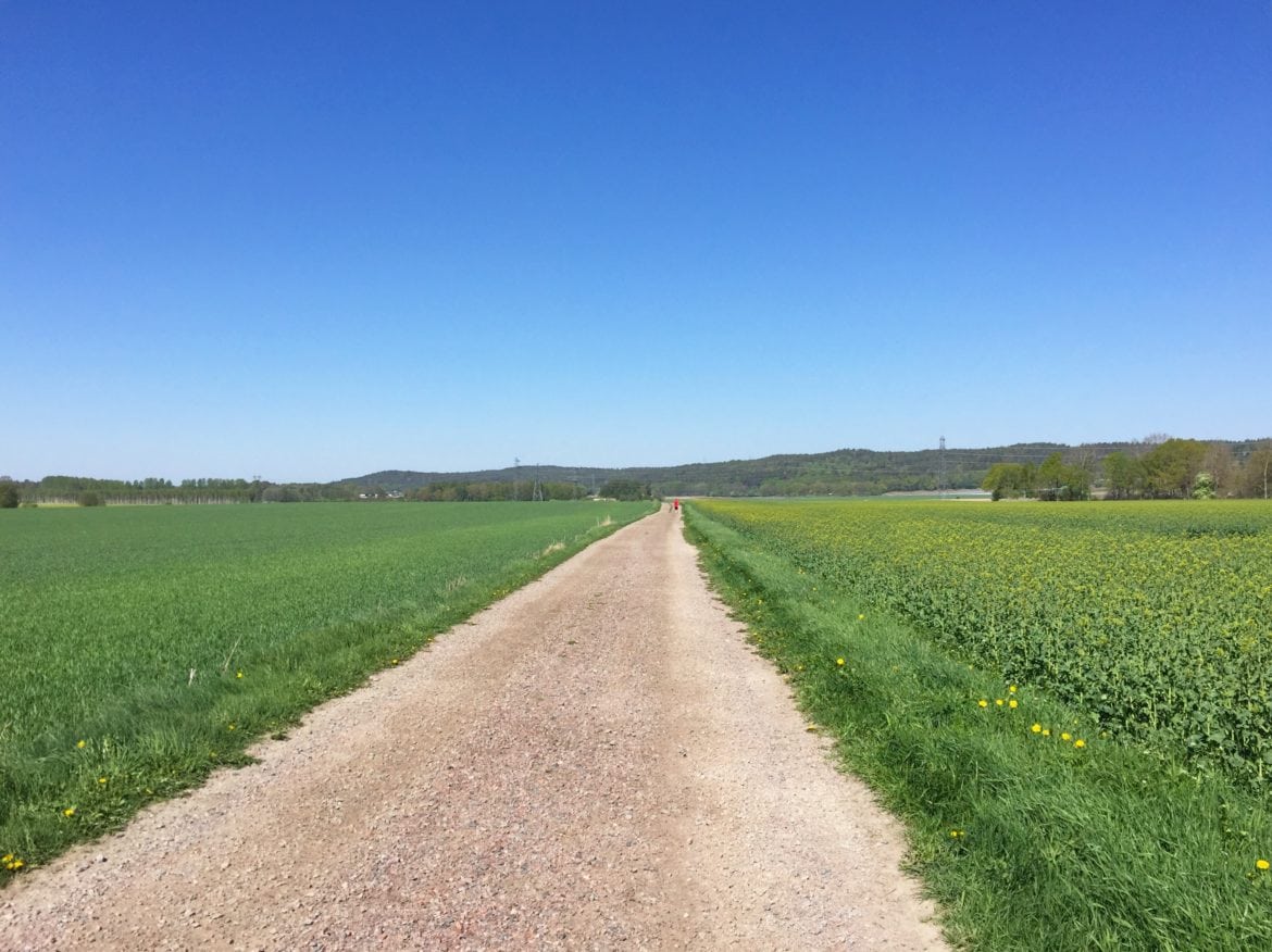 41A0673A-4B99-44E2-9689-114B6A11BC7F - Som jag har längtat