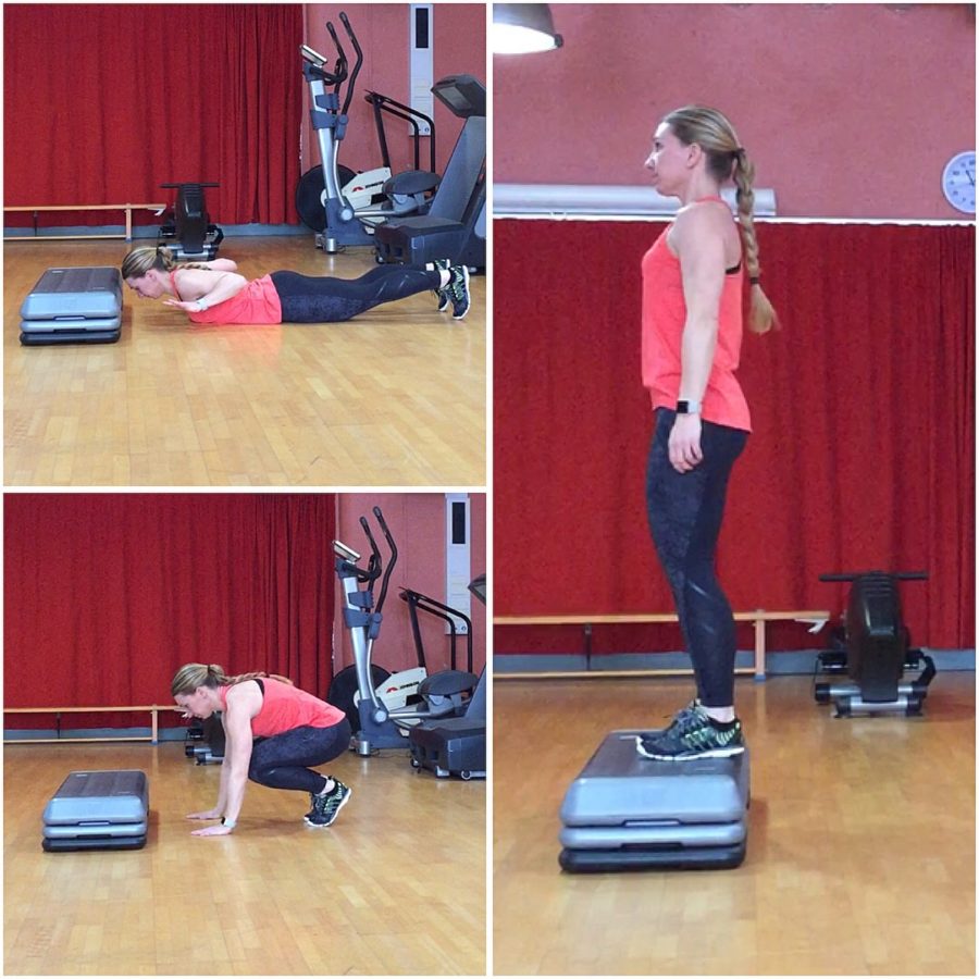 43752C86-24D0-4F70-A989-4EA0CE118078-e1518891668594 - Cirkelpass v. 8