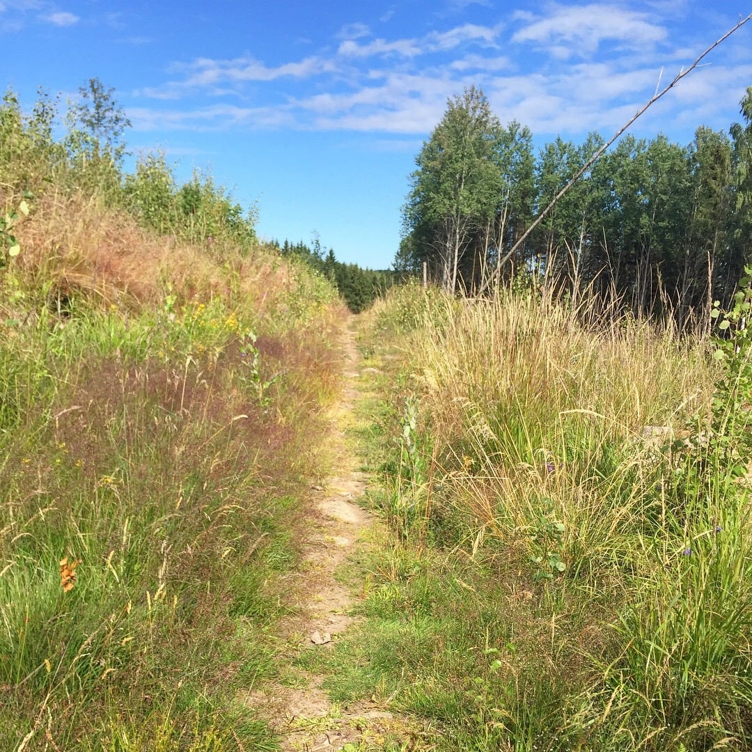 Sista milen innan halvmaran