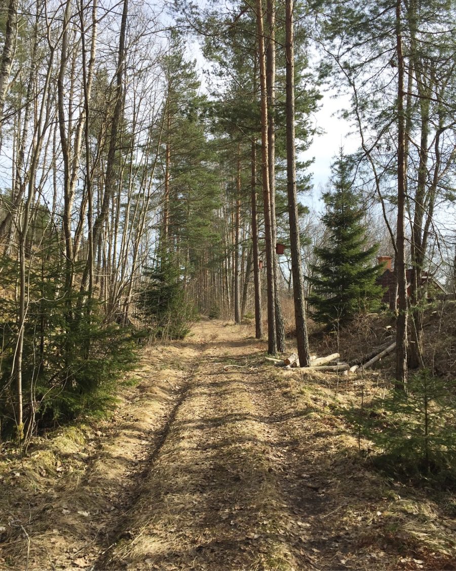 53EA5C66-E84A-4411-8F83-BC5DD005DB75-e1523204371780 - T-shirtlöpning