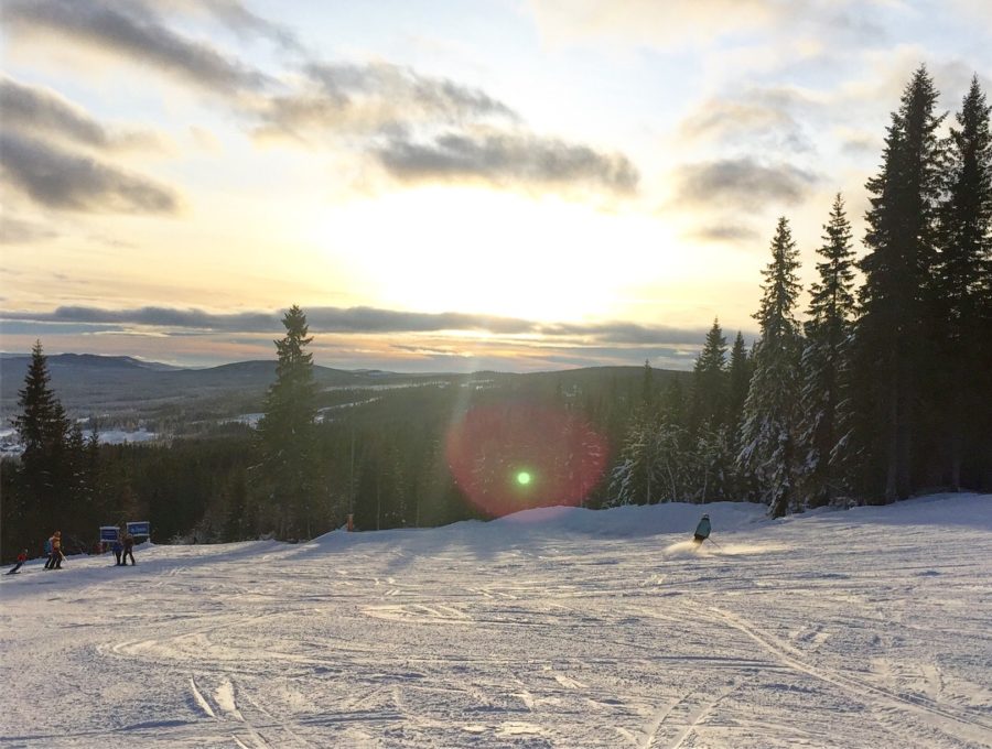 58FA46C7-0BD3-4320-8817-E369E4DB7F9D-e1514545246253 - Manchester & lössnö