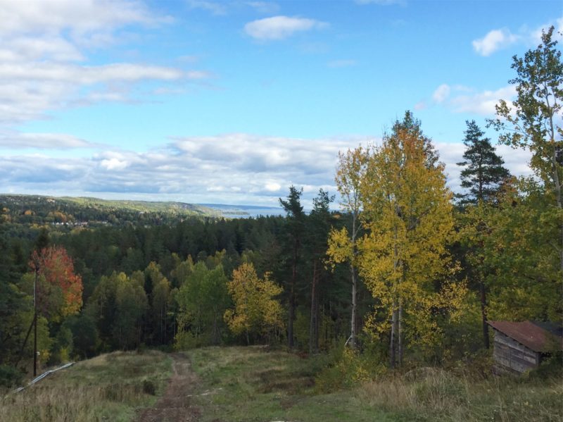 66DAAC90-170A-4E5B-9E81-535027521996-e1507299475169 - Fredagshoppet i sol