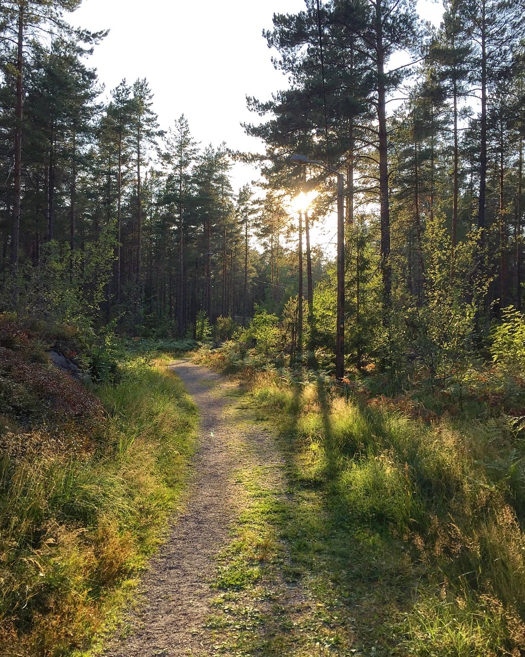 Trailrunning