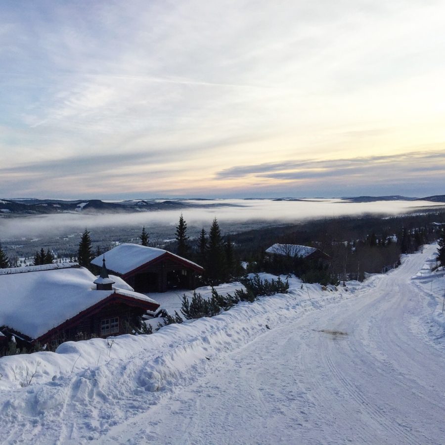 86648EB3-3ECA-4C14-B53A-E4788207A015-e1514468664470 - Julaftonslöpning