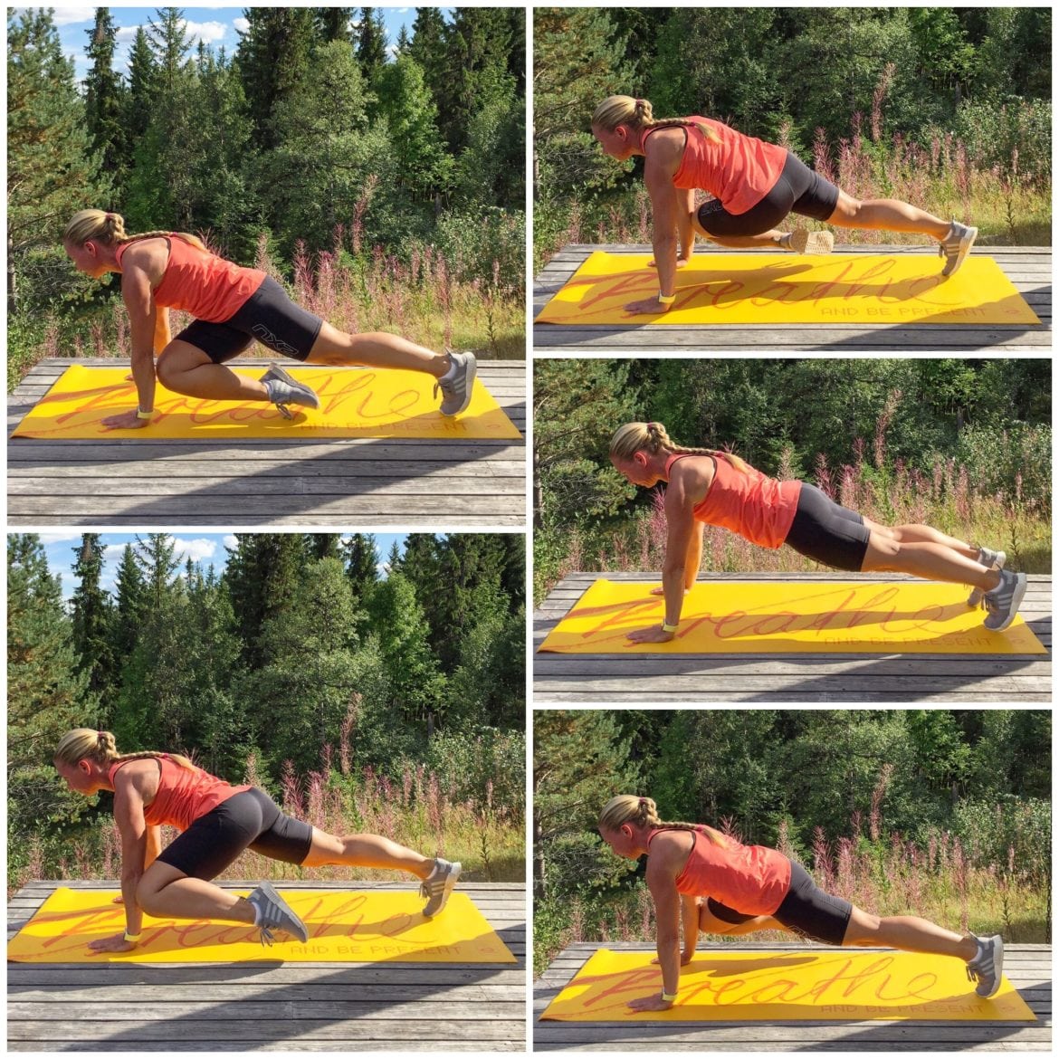 Varianter av moutainclimber