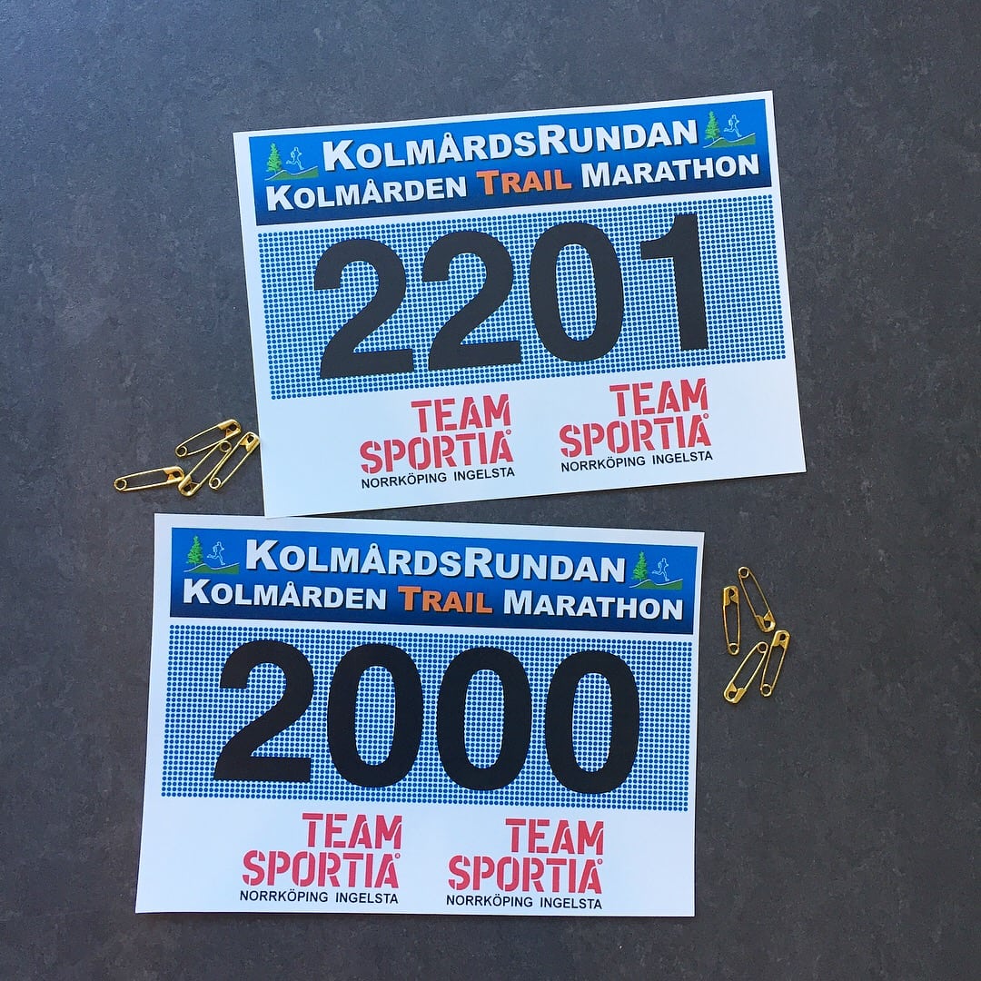 91E82D2C-7A9B-4E92-AA47-D87EEAF46B15 - Dan före dan