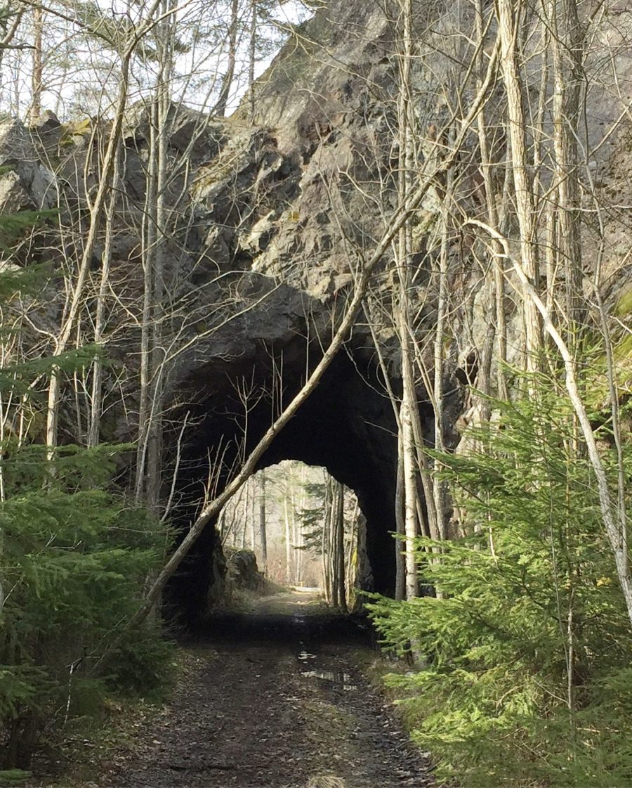 96E4BFCB-784F-4C26-AB7D-0F73F8BB60E5-e1523204541756 - T-shirtlöpning