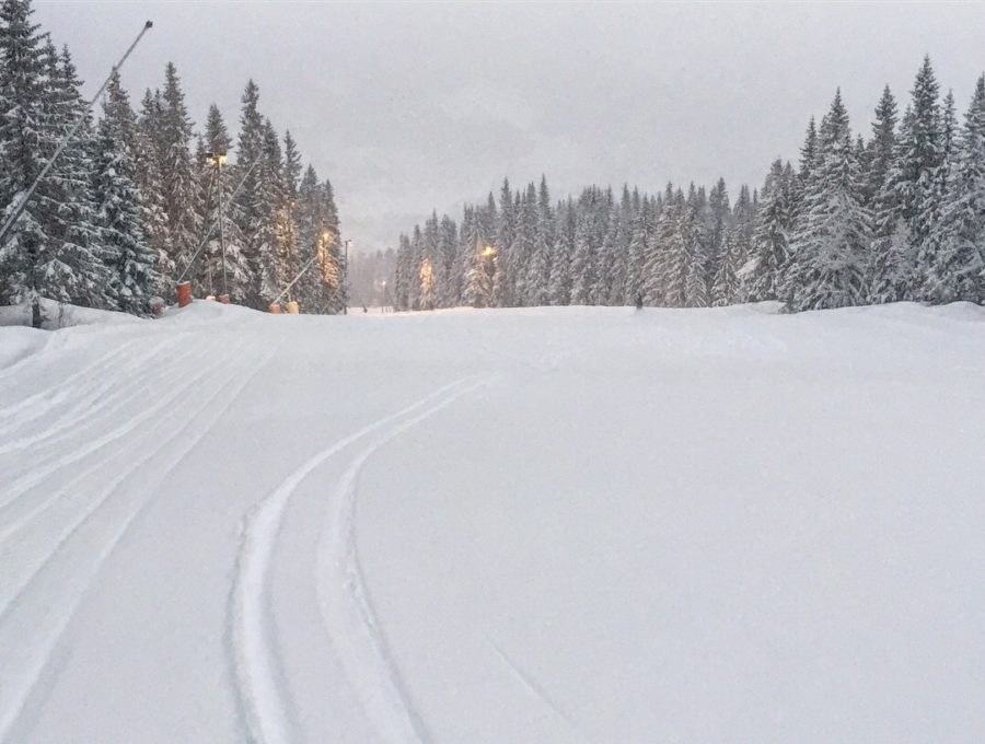 996F75BC-9382-44D2-9CF4-29820A5C3A1C-e1514545820724 - Manchester & lössnö