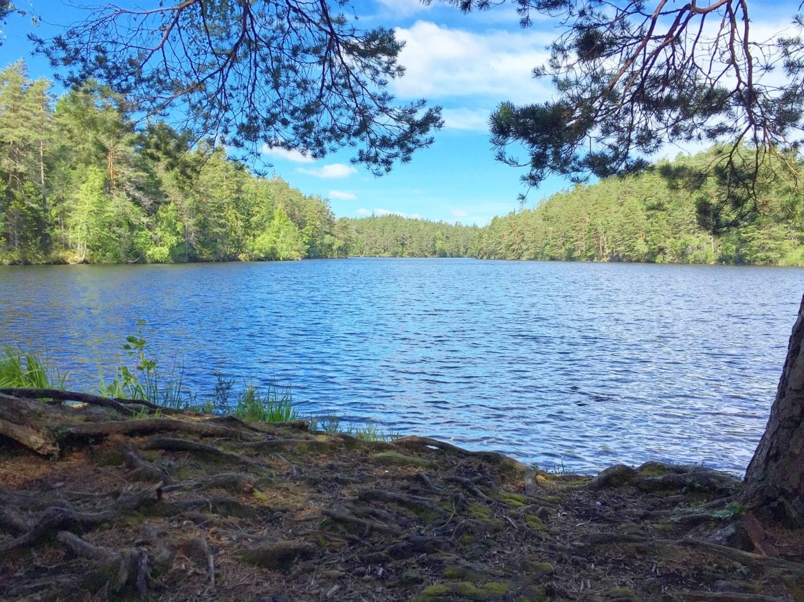 Svårt att varva ner