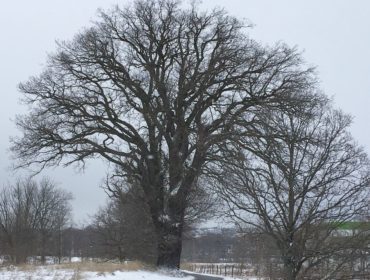 A2A4F79A-8097-4235-9664-BFCF2F52847F-e1517670573647